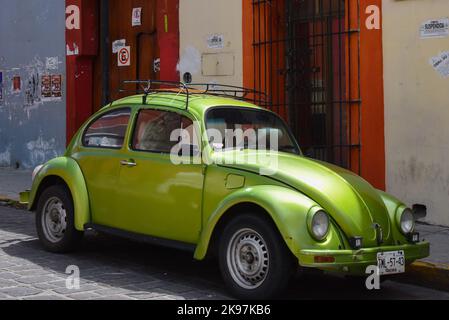 Volkswagen Beetle, Oaxaca Mexiko Stockfoto