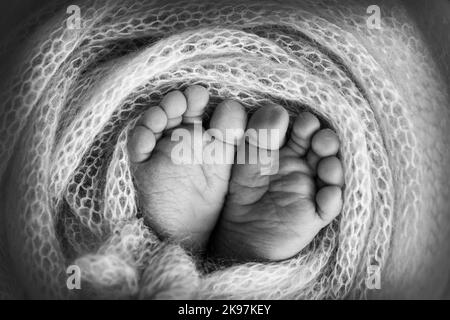 Weiche Füße eines Neugeborenen in einer Wolldecke. Nahaufnahme von Zehen, Fersen und Füßen eines Neugeborenen. Stockfoto