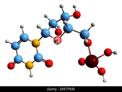 3D Bild der Skelettformel des Uridinmonophosphats - molekularchemische Struktur des Metaboliten UMP auf weißem Hintergrund isoliert Stockfoto