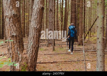 Junge Backpacker-Frau mit Stöcken, die alleine durch den Wald wandern, Rückansicht Stockfoto