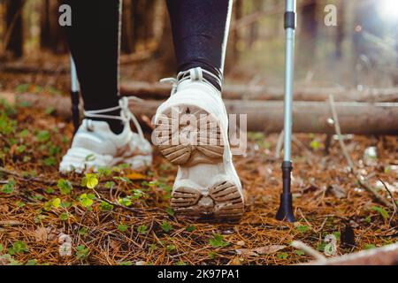 Junge Wandererin mit Wanderstöcken geht durch den Wald, Rückansicht Stockfoto