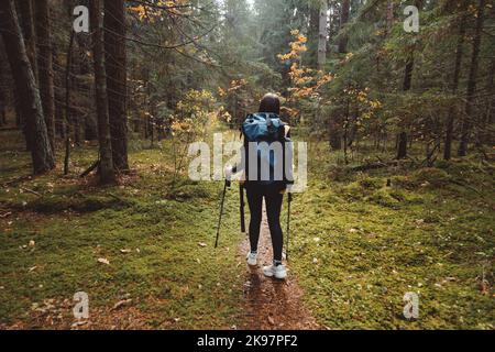 Die junge Backpacker-Frau mit Wanderstöcken geht durch den Wald, Rückansicht Stockfoto