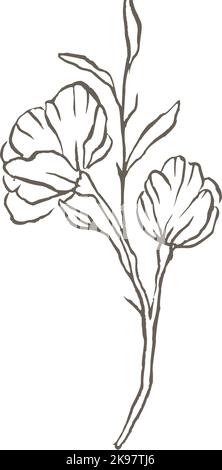 Magnolia Blume Linie Vektor-Logo elegante Hochzeit zart floral Natur Wildblume Stock Vektor