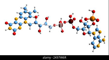 3D Bild der Adenosinmonophosphat-Skelettformel - molekularchemische Struktur von Nukleotid-AMP auf weißem Hintergrund isoliert Stockfoto