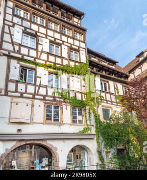 Traditionelle alte elsässische Häuser in Colmar im Elsass im Departement Haut-Rhin der Region Grand Est in Frankreich Stockfoto
