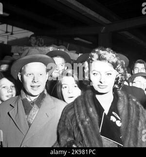 Die italienische Schauspielerin Sophia Loren ist zu Gast in Schweden. Die Schauspielerin kam mit dem Zug nach Stockholm Central und wurde von einem jubelten Publikum empfangen. Stockfoto