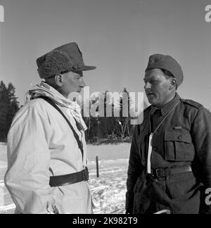 Der operative Verteidigungshof, Tomnäs Stockfoto