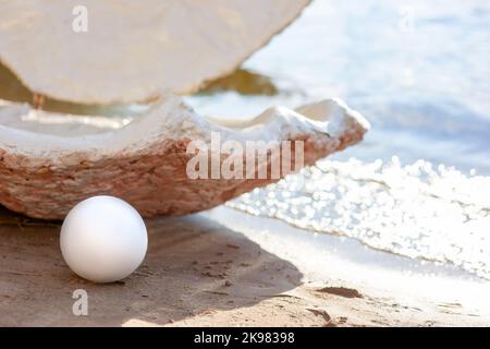 Dekorative offene große Muschel und eine große weiße Perle, an einem sonnigen Tag am Strand Stockfoto