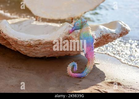 Ein niedliches dekoratives Regenbogen-Seepferd steht an einem sonnigen Tag in der Nähe einer großen Muschel am Strand Stockfoto