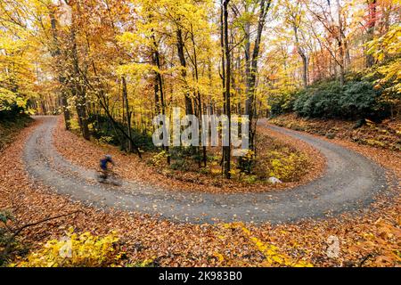 Radler auf kurvigen Schotterpisten durch das bunte Herbstlaub im Pisgah National Forest, Brevard, North Carolina, USA Stockfoto