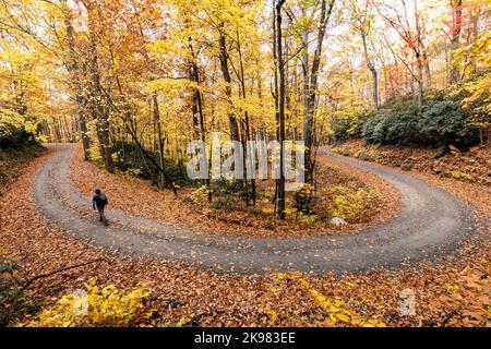 Person, die auf einer kurvenreichen Schotterstraße durch das lebhafte Herbstlaub im Pisgah National Forest, Brevard, North Carolina, USA, wandert Stockfoto