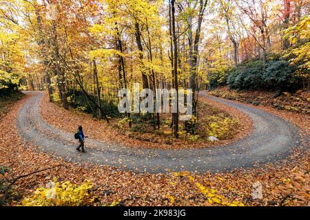 Person, die auf einer kurvenreichen Schotterstraße durch das lebhafte Herbstlaub im Pisgah National Forest, Brevard, North Carolina, USA, wandert Stockfoto