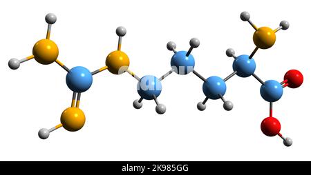3D Bild der Arginin-Skelettformel - molekularchemische Struktur der Aminosäure isoliert auf weißem Hintergrund Stockfoto