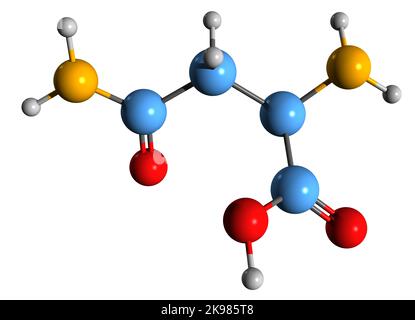 3D Bild der Asparagin-Skelettformel - molekulare chemische Struktur der 2-Amino-3-Carbamoylpropansäure isoliert auf weißem Hintergrund Stockfoto