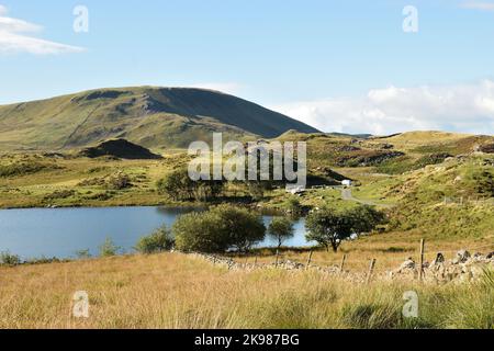 Der größere der Cregennan Lakes mit einem VW Combi Van parkte an einem sonnigen Morgen im Ruhebereich. Snowdonia National Park, Wales, Großbritannien. Stockfoto