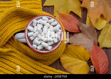Von oben Tasse mit heißer Schokolade mit Sumpflaibchen umgeben von herbstlichen bunten Blättern auf Holztisch Stockfoto