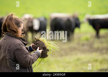 Frauen in der Landwirtschaft arbeiten auf einer Ranch in Amerika. Bodenwissenschaftler spüren eine Bodenprobe. Tests auf Mikroorganismen und Pilze Stockfoto