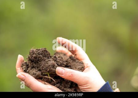 Frauen in der Landwirtschaft arbeiten auf einer Ranch in Amerika. Bodenwissenschaftler spüren eine Bodenprobe. Tests auf Mikroorganismen und Pilze Stockfoto