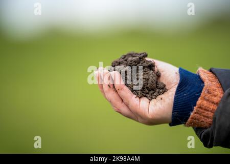 Frauen in der Landwirtschaft arbeiten auf einer Ranch in Amerika. Bodenwissenschaftler spüren eine Bodenprobe. Tests auf Mikroorganismen und Pilze Stockfoto