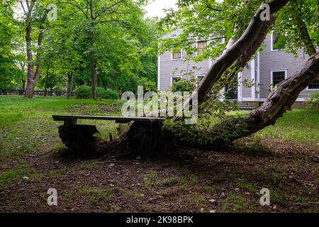 Eine Holzbank am Fuß eines großen gefallenen Ahornblattes. Es gibt reife Bäume, einen schwarzen Zaun und ein braunes Holzhaus im Hintergrund. Stockfoto