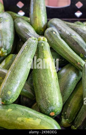 Ein Haufen lebhafter grüner Gurken, die sich in einer Kiste in einem Supermarkt stapeln. Das frische, lange grüne Gemüse hat eine dünne Haut mit einem sauren Geschmack. Stockfoto