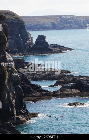 Eine Gruppe von Seekyaks erkundet die Buchten am Fuße der hohen Klippen, vor dem South Stack Lighthouse, Anglesea, Nordwales, Großbritannien Stockfoto