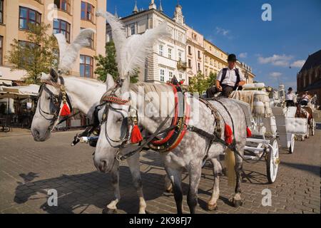 Pferdekutschen parken auf dem Hauptmarkt in Krakau, Polen. Stockfoto