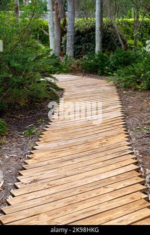 Eine schmale Holzpromenade oder ein Pfad durch einen Sommergarten mit Mulch, Sträuchern, Bäumen und einer bewaldeten Landschaft. Der Wanderweg ist horizontal Stockfoto