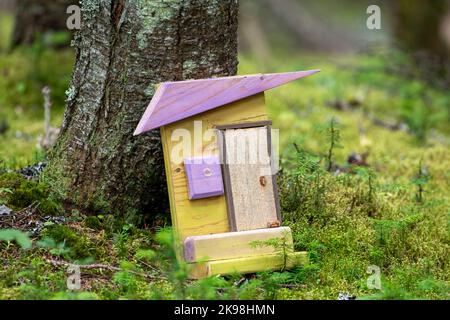 Ein Märchenhaus am Fuße eines Baumes. Es gibt ein kleines gelbes Haus mit einem lila Holzdach, einer einzigen Tür und einem lila Fenster. Das Haus ist klein. Stockfoto