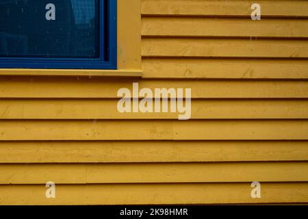 Das Äußere einer hellen gelben schmalen hölzernen horizontalen Klappbrettwand eines Hauses mit einem Vinylfenster. Die Verkleidung der Glasscheiben ist violett. Stockfoto