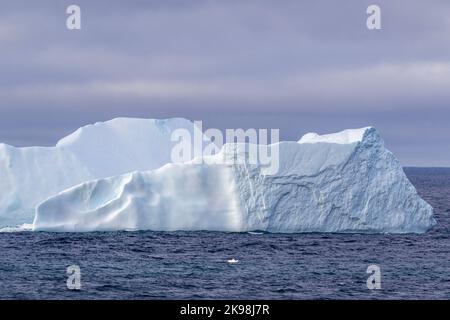 Eisberg, Irminger See Eingang zum Prince Christian Sound, Grönland, Königreich Dänemark Stockfoto