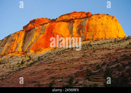 Zion Nationalpark, Utah Stockfoto