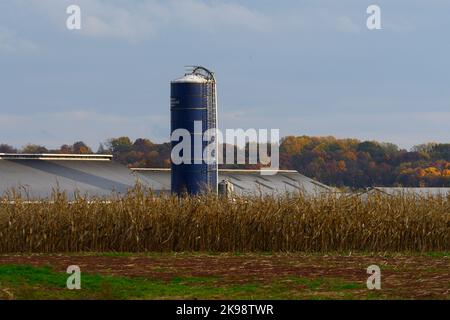 Bauernhöfe in der ländlichen Umgebung von Pennsylvania in Lancaster County, östlich von Harrisburg, an der I-76 Interstate PA Turnpike, Pennsylvania, USA, am 26. Oktober 2022. In zwei Wochen gehen die Amerikaner zu den Wahllokalen für die Halbzeitwahlen, deren Ergebnisse massive Auswirkungen auf die Gestalt der Nation haben könnten. Kredit: OOgImages/Alamy Live Nachrichten Stockfoto