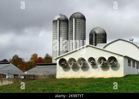 Bauernhöfe in der ländlichen Umgebung von Pennsylvania in Lancaster County, östlich von Harrisburg, an der I-76 Interstate PA Turnpike, Pennsylvania, USA, am 26. Oktober 2022. In zwei Wochen gehen die Amerikaner zu den Wahllokalen für die Halbzeitwahlen, deren Ergebnisse massive Auswirkungen auf die Gestalt der Nation haben könnten. Kredit: OOgImages/Alamy Live Nachrichten Stockfoto