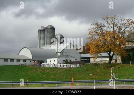 Bauernhöfe in der ländlichen Umgebung von Pennsylvania in Lancaster County, östlich von Harrisburg, an der I-76 Interstate PA Turnpike, Pennsylvania, USA, am 26. Oktober 2022. In zwei Wochen gehen die Amerikaner zu den Wahllokalen für die Halbzeitwahlen, deren Ergebnisse massive Auswirkungen auf die Gestalt der Nation haben könnten. Kredit: OOgImages/Alamy Live Nachrichten Stockfoto