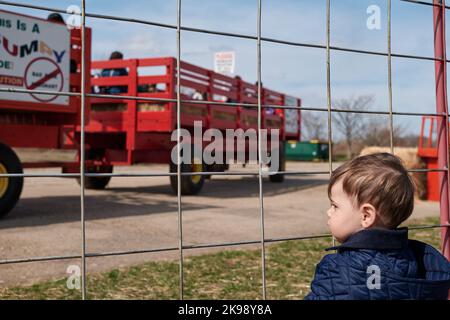 Maskierte Mutter mit Kindern auf dem County Fair Stockfoto