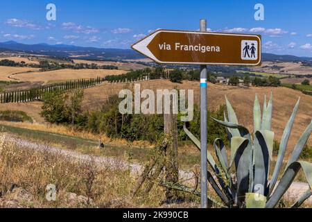 Landschaft entlang der Via Francigena mit Schlammstraße, Feldern, Bäumen und Weinbergen. Schild in Richtung Monteroni d'Arbia, Route der Via francigen Stockfoto