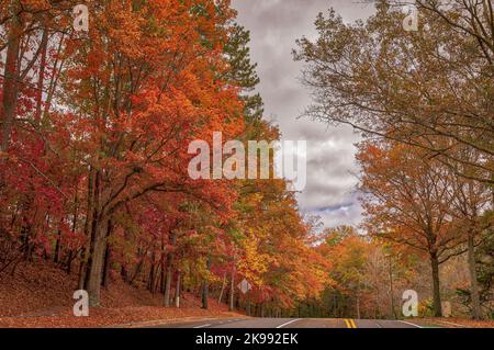 Herbst-Straße Stockfoto