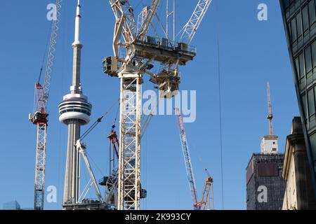 Zahllose große Baukräne sind in der Innenstadt von Toronto an einem Tag mit blauem Himmel zu sehen, der CN Tower im Hintergrund. Stockfoto