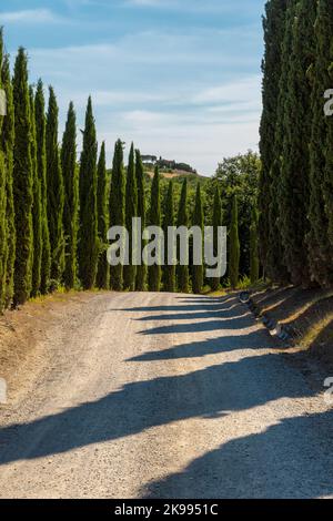 Via Francigena Schlammstraße mit Zypressen auf beiden Seiten des Weges. Monteroni d'Arbia, Route der Via francigena. Provinz Siena, Toskana. I Stockfoto