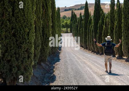 Mann, der über die Francigena-Schlammstraße mit Zypressen auf beiden Seiten des Weges geht. Monteroni d'Arbia, Route der Via francigena. Siena PR Stockfoto