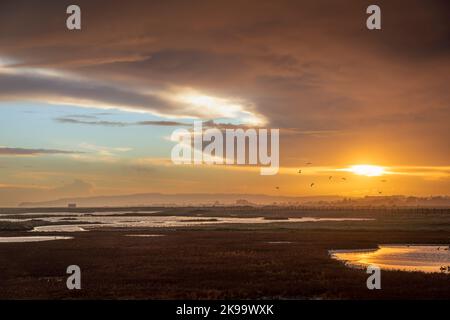 Der stürmische, farbenfrohe Sonnenuntergang über dem Naturschutzgebiet Rye Harbour an der Ostküste von Sussex, Südostengland Stockfoto