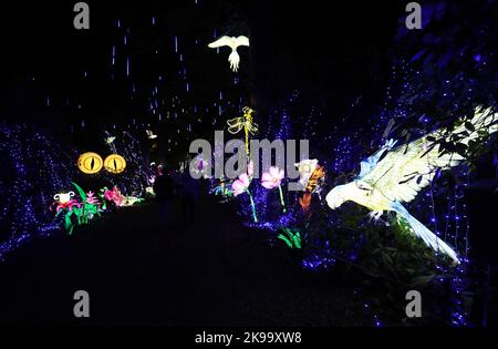 Paris, Frankreich. 26. Oktober 2022. Illuminierte Skulpturen werden während einer Medienführung eines Lichtfestivals im Zoo Thoiry in der Nähe von Paris, Frankreich, am 26. Oktober 2022, abgebildet. Hier beginnt am Sonntag das Festival mit rund 2.000 beleuchteten Skulpturen. Kredit: Gao Jing/Xinhua/Alamy Live Nachrichten Stockfoto