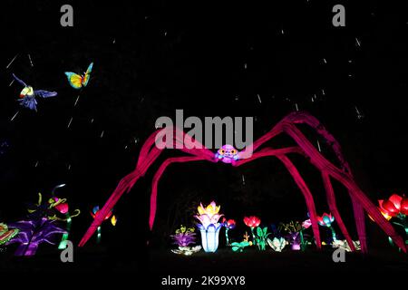 Paris, Frankreich. 26. Oktober 2022. Illuminierte Skulpturen werden während einer Medienführung eines Lichtfestivals im Zoo Thoiry in der Nähe von Paris, Frankreich, am 26. Oktober 2022, abgebildet. Hier beginnt am Sonntag das Festival mit rund 2.000 beleuchteten Skulpturen. Kredit: Gao Jing/Xinhua/Alamy Live Nachrichten Stockfoto