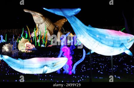 Paris, Frankreich. 26. Oktober 2022. Ein Besucher macht ein Foto von beleuchteten Skulpturen während einer Medienführung eines Lichtfestivals im Zoo Thoiry in der Nähe von Paris, Frankreich, am 26. Oktober 2022. Hier beginnt am Sonntag das Festival mit rund 2.000 beleuchteten Skulpturen. Kredit: Gao Jing/Xinhua/Alamy Live Nachrichten Stockfoto