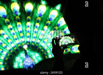 Paris, Frankreich. 26. Oktober 2022. Ein Besucher fotografiert eine illuminierte Skulptur während einer Medienführung eines Lichtfestivals im Zoo Thoiry in der Nähe von Paris, Frankreich, am 26. Oktober 2022. Hier beginnt am Sonntag das Festival mit rund 2.000 beleuchteten Skulpturen. Kredit: Gao Jing/Xinhua/Alamy Live Nachrichten Stockfoto