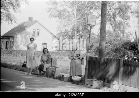 Staatsbahnen, SJ-Bushaltestelle mit wartenden Passagieren. Stockfoto