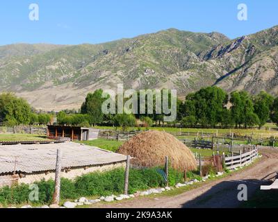 Stadt in der Nähe des Kaindy-Sees in Kasachstan Stockfoto