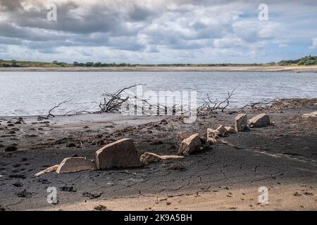 Dürrezustände und rückläufige Wasserstände, die die Überreste einer alten Mauer und skelettbefallenen Bäumen im Colliford Lake Reservoir auf Bodmin Moor in freilegen Stockfoto