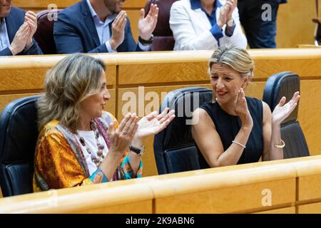 Yolanda Diaz Perez. Zweiter Vizepräsident und Minister für Arbeit und Sozialwirtschaft. Teresa Ribera Rodriguez. Dritter Vizepräsident. Im Senat Stockfoto